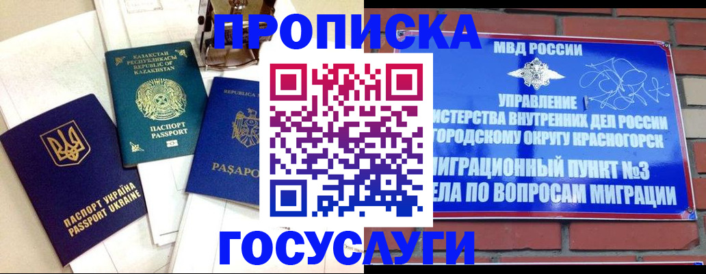 купить прописку в Елизово